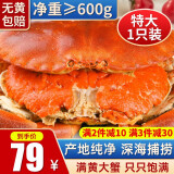 【爱尔兰进口】 渔游记 黄金面包蟹满黄 爱尔兰超大鲜活熟冻螃蟹 600g-800g/特大1只
