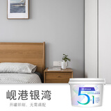 梵竹五合一乳胶漆内墙漆室内翻新修补刷墙面漆净味水性漆防水油漆涂料 岘港银湾 5L（约刷65平方/遍）