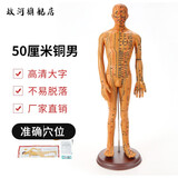 政河针灸穴位人体模型经络穴位模特图全身中医十二经络铜人可扎针小皮 52厘米铜色男硬质款/手臂可转超清刻字
