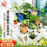 爱丽思（IRIS）花架三层塑料露台台阶花盆架子园艺用品阳台种菜盆支架花架落地式 FS-760灰三层宽75*高60*进深54