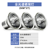 爬将军 乌龟灯晒背灯 乌龟晒背灯泡+灯架 爬宠虫uva取暖uvb加热保温宠物 晒背灯3个【50W】