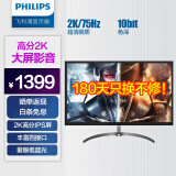 飞利浦 31.5英寸 2K IPS 75Hz 10bit色深 低蓝光 游戏娱乐 直播大屏 电脑显示器 显示屏 325E8（黑色）