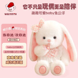 威尔通（WELTSTON）小兔子毛绒玩具公仔儿童男女孩送同学毕业礼物baby兔45cm