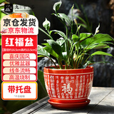 九千谷陶瓷花盆带托盘阳台绿植盆栽简约 红红火火 红福盆大号1个装3864
