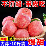 【超级低价】红富士苹果正宗洛川苹果新鲜脆甜水果冰糖心整箱批发 实惠小果【50-60mm】净重8斤装 限时特卖：只剩00:05分