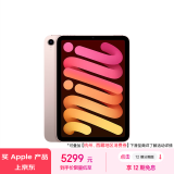 Apple/苹果 iPad mini8.3英寸平板电脑(mini6/256GB 5G版/MLXG3CH/A)粉色 蜂窝网络