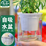 寿禾 懒人盆自吸盆双层透明室内桌面植物盆 透明懒人盆x2个装