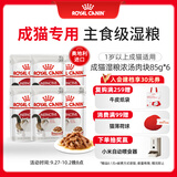 皇家猫粮 成猫湿粮 软包猫罐头IGP 通用粮 1-7岁 浓汤肉块 85G*6进口
