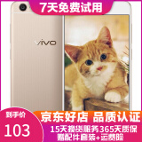 vivo Y55  工作机 备用机 4G 安卓手机 二手手机 金色 2GB+16GB （8成新）