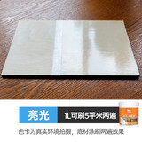 三青水性木器漆清漆木门木板家具光油木油漆透明面漆原木漆木地板清漆 1kg木质家具透明亮光清漆