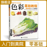 《色彩基础教程》少儿童水粉画零基础入门个体静物调色彩书中国美院名师教你画色彩经典全集杨建飞主编