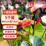 花沃里花架植物爬藤架植物支撑杆阳台绿植防倒伏支撑架圆环型45CM5个装