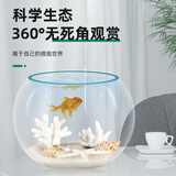 共度（Gong Du）桌面小鱼缸 圆形金鱼缸 玻璃迷你型懒人客厅家用办公室热弯鱼缸 微型桌面鱼缸 裸缸直径15CM 高度11cm