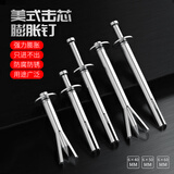 立昌内膨胀螺丝大全爆炸螺栓美式击芯加长打入式敲击式拉爆壁虎膨胀钉 【防蚀防锈】6*40（10个）