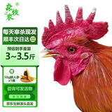 森牧农老麻鸭老母鸡土鸽子炖汤配料包人参包 1年大公鸡3斤+3年老母鸡3斤（共6斤）