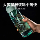 聚心尚品 简约运动水杯女夏季便携大容量健身杯子男学生塑料杯带茶漏 A0607薄荷绿 480ml