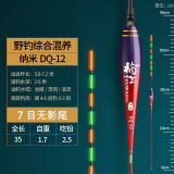 芦王 夜光漂水无影超亮纳米高灵敏电子浮漂鲫鱼漂全套醒目夜钓鲤鱼漂 DQ-12吃铅2.5克（均号三支装） 均号三支装