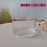 OIMG郁金香水培容器水培玻璃花盆郁金香水养花瓶水仙绿萝风信子植物透 8cm*12cm圆形 大