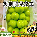 果益寿江苏阳光玫瑰葡萄【JD闪送】晴王葡萄青提子双11百亿补贴水果盒装 精品果2.7斤净重【单粒6-8g】
