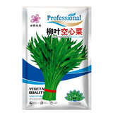 小镇有花  柳叶空心菜种子 蔬菜种子 生长速度快纤维少阳台园艺盆栽家庭