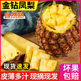 粤迎海南金钻凤梨【现货速发】新鲜爆甜时令应季热带水果现摘现发 净4.5-5斤精选装【1-6个】