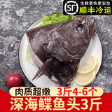 一米渔鸦片鱼头1500g深海鲽鱼头新鲜冷冻年货礼盒碟鱼头比目鱼年夜饭 中号鸦片鱼头3斤约4-5个