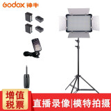 神牛（Godox） LED500补光灯摄影灯led常亮影视灯双色温摄像灯影室灯便携式婚庆DV摄像采访 LED500单灯套装含电池 变色版（双色温）