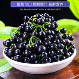 【顺丰速发】新鲜龙葵果250g野生东北黑天天黑悠悠黑呦呦黑星星龙葵果新鲜 新鲜龙葵果250克+顺丰