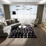 sunjackie地毯客厅加厚北欧轻奢毯时尚简约现代几何沙发茶几地毯卧室床边毯 FS-T11 120x160 cm