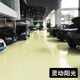 晟威（SHENGWEI）水性环氧树脂地坪漆地面室内外自流平地板漆防水耐磨车库地面漆 灵动阳光 10平方（地坪漆+清漆）