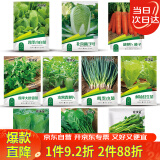 花沃里10款蔬菜种子套餐秋冬季 胡萝卜白菜水果萝卜香菜小葱菠菜生菜籽