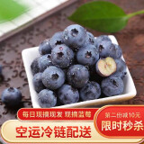 多买钜惠 现摘新鲜蓝莓125g*4盒精装 新鲜水果 健康轻食