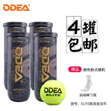 欧帝尔（Odear）网球passion air系列网球耐打高弹训练比赛罐装网球 3粒装 龙纹ELITE 4罐 送1袜