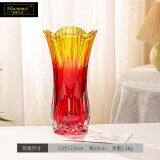 弗莱文茨简约透明玻璃花瓶水培富贵竹百合水养花器插花瓶家用客厅桌面摆件 西班牙红花瓶25cm