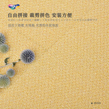 TOLI 日本东理拼接地毯客厅ins卧室防滑自吸免胶无痕1cm厚40*40cm多色 AK3575 40cm*40cm