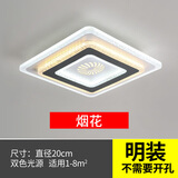 合亮 过道灯走廊玄关门厅灯现代简约led筒灯入户阳台灯创意天花走廊灯 明装-方形20cm：烟花