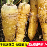 旷古农业新疆特产黄萝卜 新鲜胡萝卜手抓饭食材5斤装现挖蔬菜