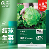 寿禾 圆生菜种子结球蔬菜菜籽 潍育系列绿翡翠结球生菜种子10g