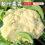 密水农家 本地自种 新鲜菜花 500g 花椰菜新鲜时令蔬菜 菜花 500g