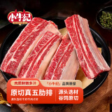 小牛纪 澳洲安格斯牛原切黄膘牛排骨2.5kg牛肋排炖煮烧烤牛肉源头直发