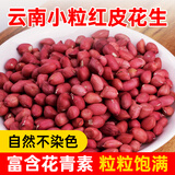 田园一丁新货云南红皮花生米5斤农家红衣花生紫红皮小粒生花生米红花无壳 精选红皮花生 3斤 农家自种