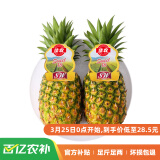 佳农 菲律宾菠萝 2个装 单果重900g起 新鲜水果