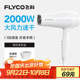 飞科（FLYCO）电吹风机家用发廊大功率2000W速干恒温便携可折叠白色FH6232