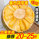 亿喜农海南黄肉菠萝蜜新鲜水果干苞果肉大树菠萝蜜一整个热带水果 35-40斤【稀缺果王精选老树果】