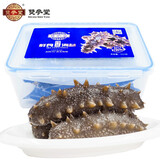 雙参堂蒸食海参冷蒸锁鲜 大连即食海参辽刺参速冻海参底播海参 营养滋补 500g 8-12只 盒装