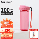 特百惠（Tupperware）茶韵500ML塑料杯 男女学生便携办公用水杯子大容量双饮口 柔蜜粉