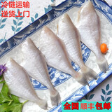 顺丰速运 中号耗儿鱼1000g装 扒皮鱼海鲜 马面鱼冷冻新鲜 马面鱼 1000g装