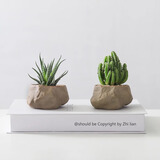 八芽盆栽万重山多肉仙人球懒人室内四季好养盆景办公室桌面小型绿植物 （十二卷+万重山）两款组合 带盆栽好