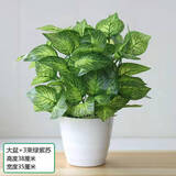 仿真绿萝叶盆栽假花塑料人造绿植室内外落地盆景隔断花槽装饰花卉 大盆+3束绿紫苏