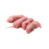 小拓蛙冷冻红皮乳鼠宠物蛇饲料喂猫龟树蛙冰冻粉白霜杭州包邮蜥蜴小白鼠 1-2.8g红皮1只收藏关注送2共3只